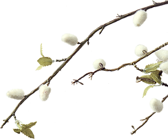 봄 이벤트 tree