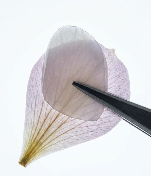 1:1 커스텀 라미네이트